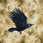 Best Prog Albums of 20170 (0)