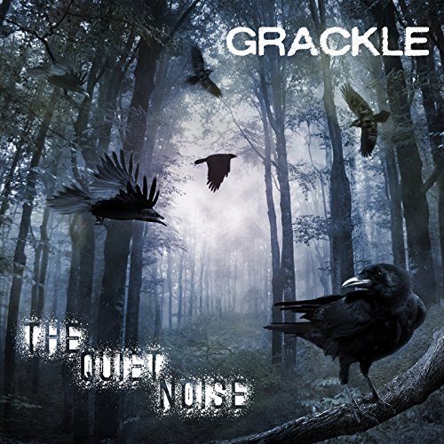 Mark’s Quick Review: Grackle’s – The Quiet Noise0 (0)
